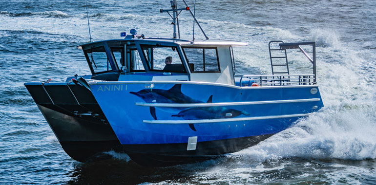 COVID-19 threatens once-robust passenger vessel market