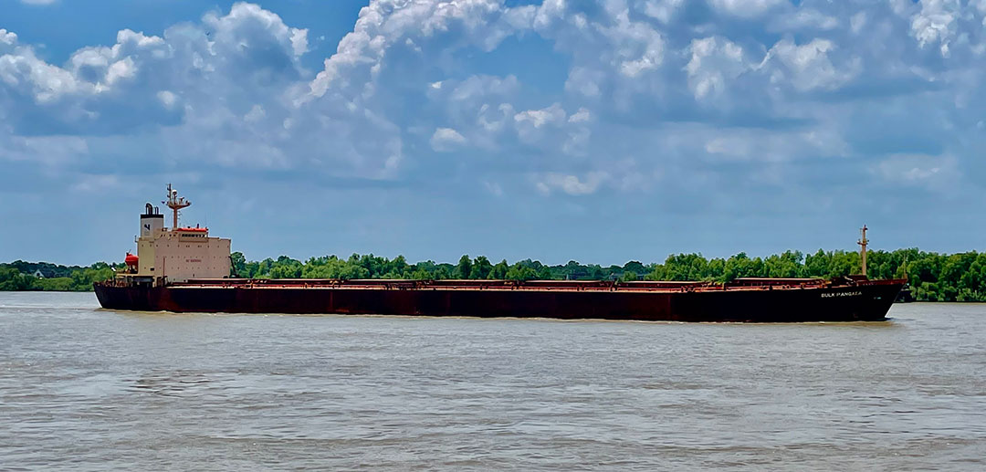 The Panama-flagged Bulk Pangaea sails up the Mississippi River near Algiers Point. Foreign ships often have different pay rates and labor standards than American vessels. 