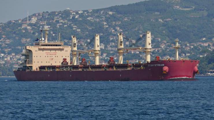 U.S.-owned bulker hit by Houthi missile in Gulf of Aden